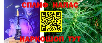 стаф Гусев