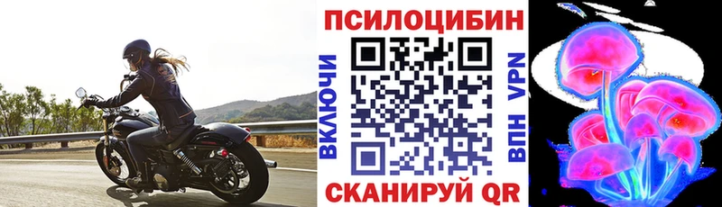 Псилоцибиновые грибы прущие грибы  Дюртюли 