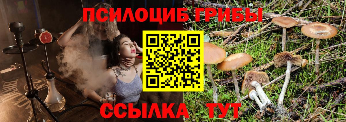 Галлюциногенные грибы Magic Shrooms Дюртюли